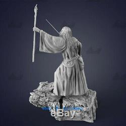 1/16 Scale Gandalf VS Balrog Unpainted Resin Model Kits Unassembled Figure