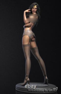 2Bodies Wonder Woman 3D Print Figure Model Kits Unpainted Unassembled GK 3Size