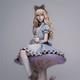 Alice 3D Printing Unassembled Unpainted Model Kits Resin Garage Kits
