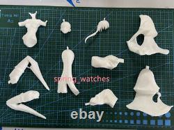 Alterego Fate/Extra CCC Unassembled Unpainted Model Kits GK Figure 1/6