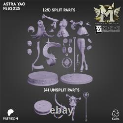 Astra Yao 3D Printing Unassembled Unpainted Model Kits Resin Garage Kits