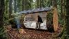 Building A House In The Forest Asmr This Man Built A Mini House Inside A Tree Trunk By Himself