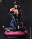 CATWOMAN 3D Printing Unassembled Unpainted Resin Model Kits Garage Kits