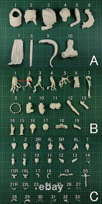 CP Girl 20th Anniversary WF2020 Unpainted Unassembled Model Kits Garage Kits