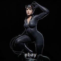 Catwoman Unpainted Unassembled 3D printed Resin Model Kit GK2