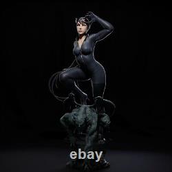 Catwoman Unpainted Unassembled 3D printed Resin Model Kit GK2