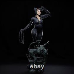 Catwoman Unpainted Unassembled 3D printed Resin Model Kit GK2