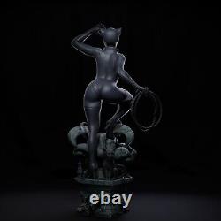 Catwoman Unpainted Unassembled 3D printed Resin Model Kit GK2