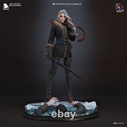 Ciri 3D Printing Unassembled Unpainted Model Kits Resin Garag Kits