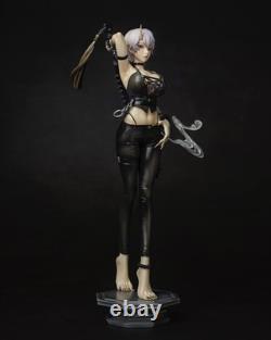 Demon Girl Unassembled Unpainted Resin Model Kits Garage Kits H24CM