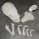 Elder Predator Skeleton Skull Stand Unpainted Unassembled Hobby Resin Model KIt