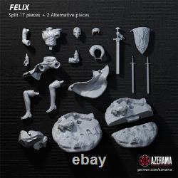 Felix 3D Printing Unassembled Unpainted Model Kits Resin Garage Kits