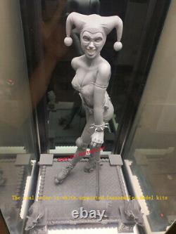 Harley Quinn W Double Head 16 Unpainted 33cm H Model Kit Unassembled 3D Print