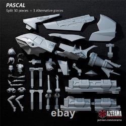 Pascal 3D Printing Unassembled Unpainted Model Kits Garage Kits