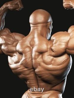 Ronnie Coleman 3D Printing Unassembled Unpainted Model Kits Garage Kits