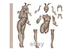 Siguru Bunny 3D Printing Unassembled Unpainted Model Kits Resin Garage Kits
