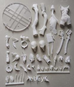 Tsuru 1/6 Scale Unassembled Unpainted Resin Model Kits Garage Kits