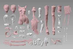Tsuru 1/6 Scale Unassembled Unpainted Resin Model Kits Garage Kits