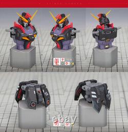 Unpainted and Unassembled GMdream 1/100 Raider Gundam Conversion Kit