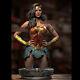 Wonder Woman Bust Unpainted Resin Model Kits Unassembled 3D Printed 1/4 33cm