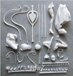 YangGuiFei FGO Unassembled Unpainted Resin Model Kits Garage Kits